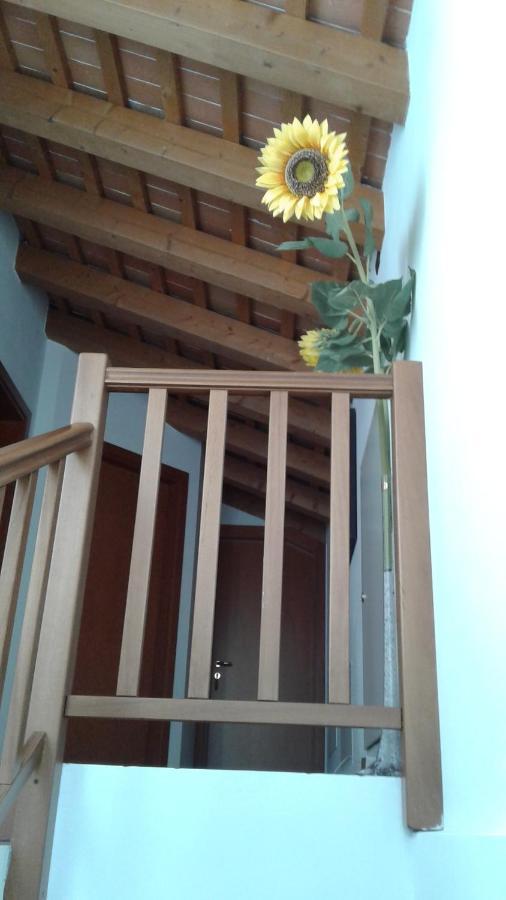 B&B Ergira Cividale del Friuli 外观 照片