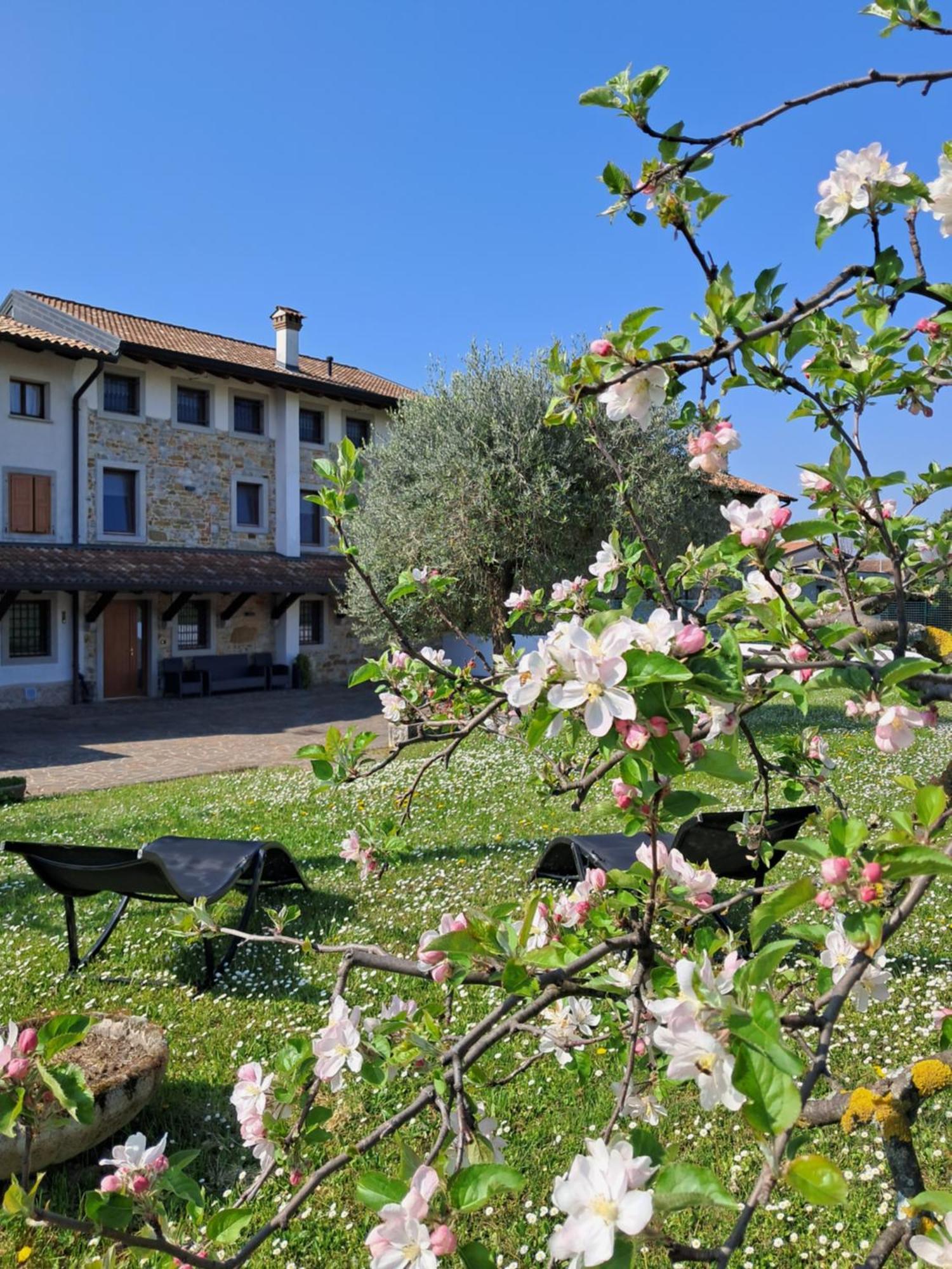 B&B Ergira Cividale del Friuli 外观 照片